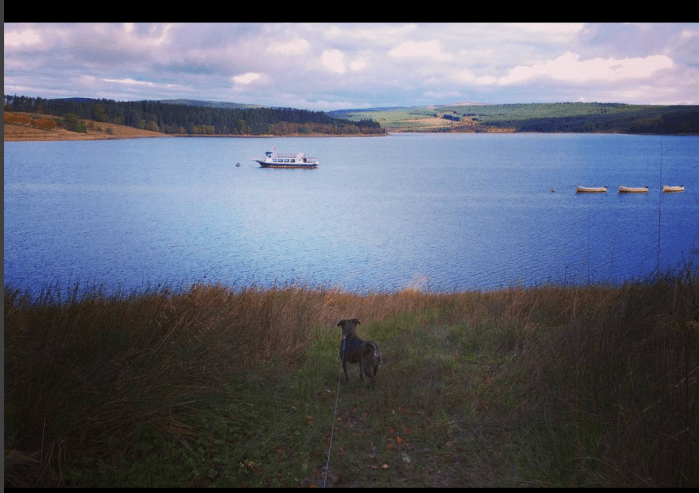 Screen Shot 2018-04-21 at 8.43.16 AM